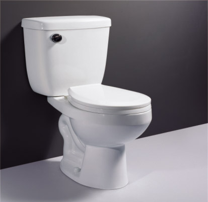 two-piece toilet